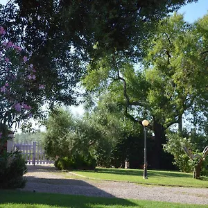 Agriturismo Masseto Campiglia Marittima